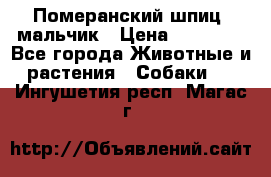 Померанский шпиц, мальчик › Цена ­ 35 000 - Все города Животные и растения » Собаки   . Ингушетия респ.,Магас г.